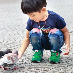 Boy and a bird